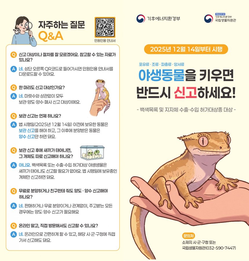 newsghs 뉴스