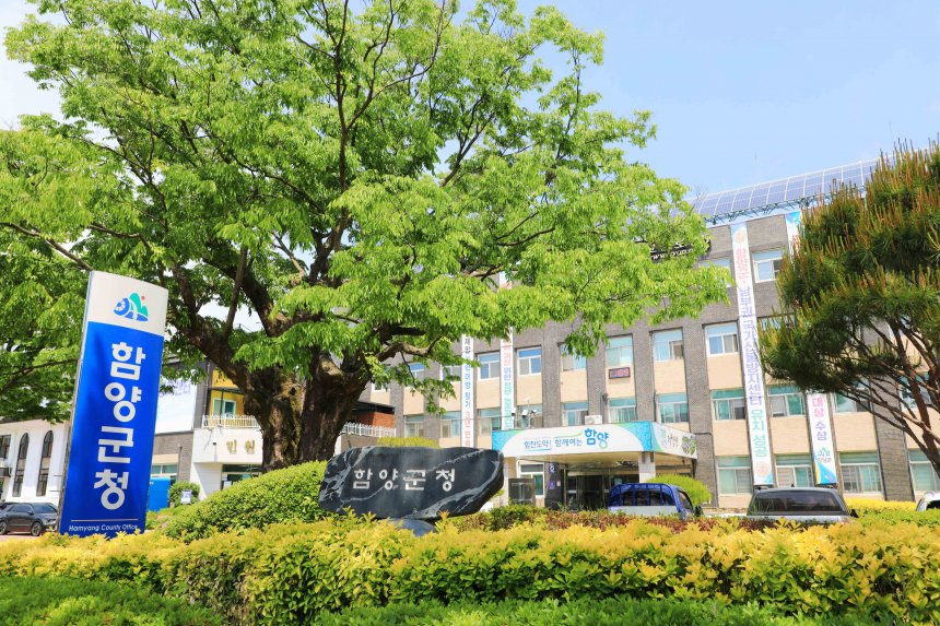 newsghs 뉴스